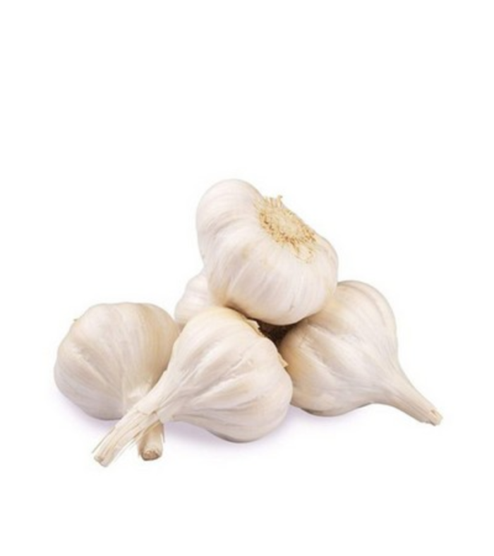 GARLIC