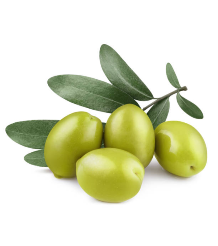 OLIVE